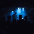 Explore the Best Burlesque and Live Shows at The Toff in Town - Melbourne CBD